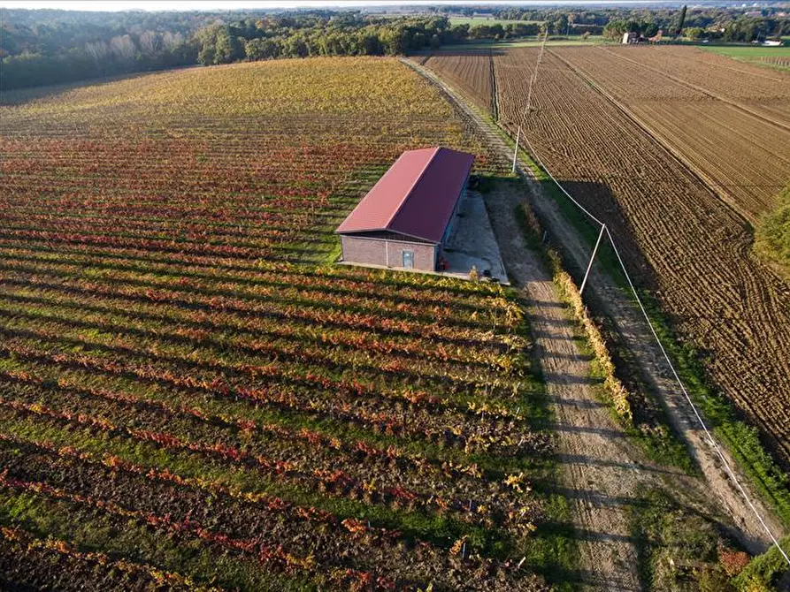 Immagine 10 di Azienda agricola in vendita  a Castiglione Del Lago