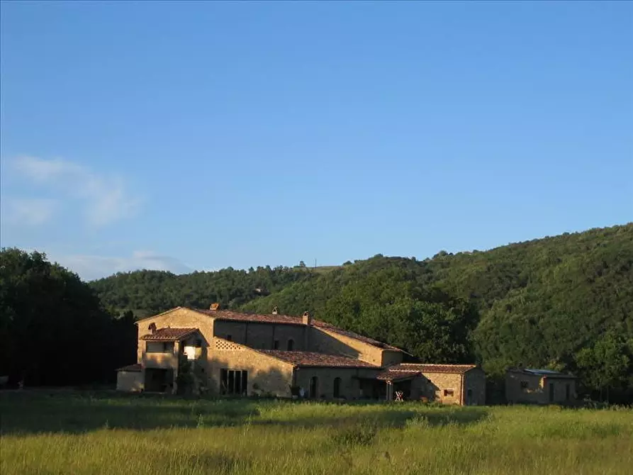 Immagine 2 di Agriturismo in vendita  a Civitella Paganico