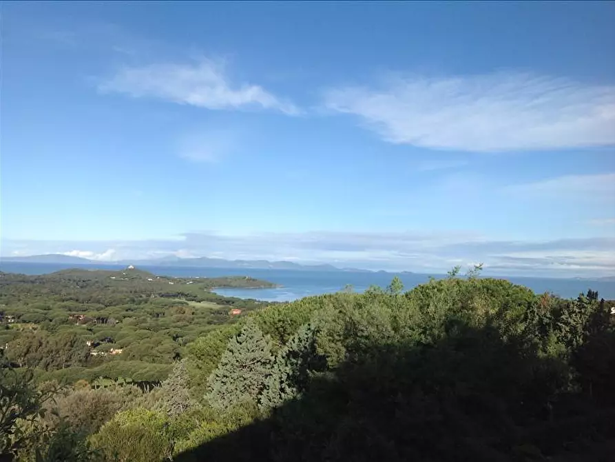 Immagine 4 di Villa in vendita  a Empoli