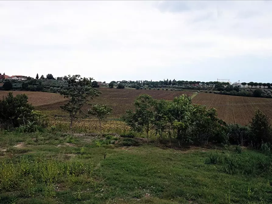 Immagine 10 di Azienda agricola in vendita  a Castiglione Del Lago