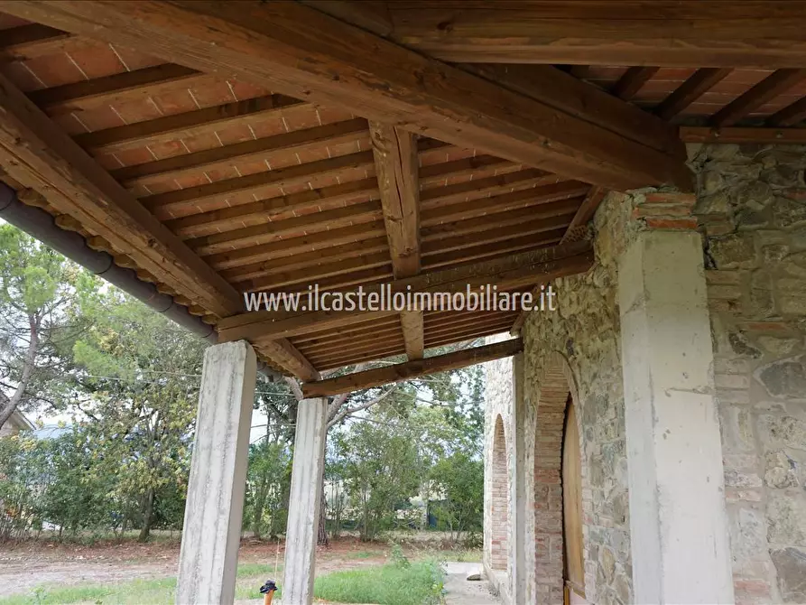 Immagine 4 di Azienda agricola in vendita  a Castiglione Del Lago