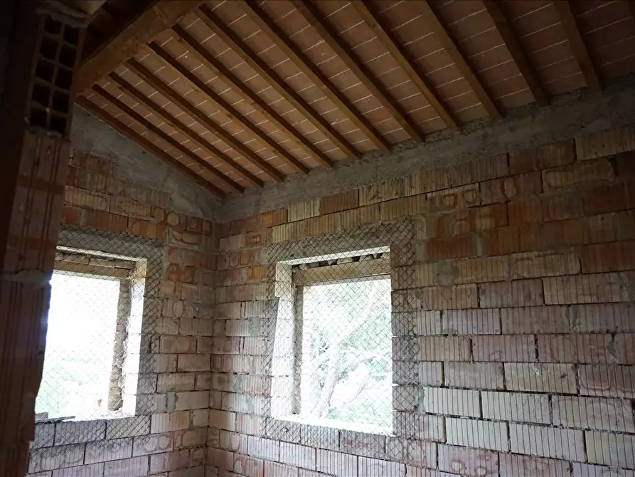 Immagine 7 di Azienda agricola in vendita  a Castiglione Del Lago