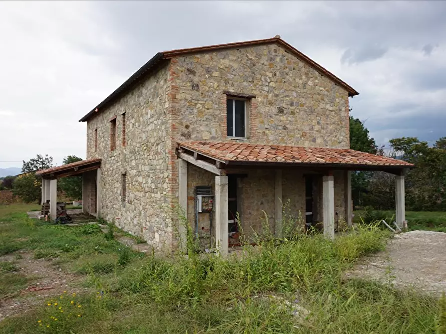 Immagine 8 di Azienda agricola in vendita  a Castiglione Del Lago