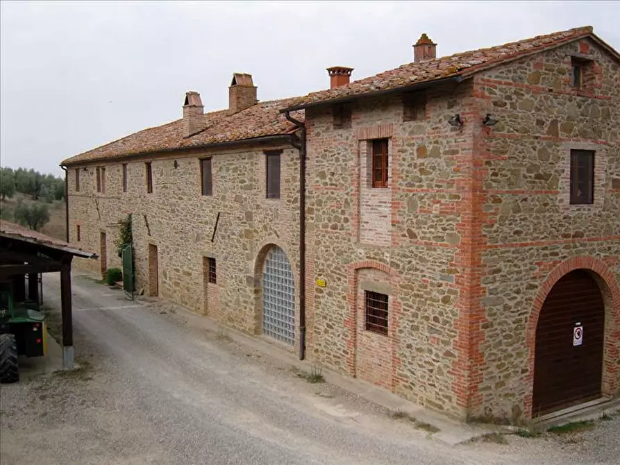 Immagine 2 di Azienda agricola in vendita  a Paciano