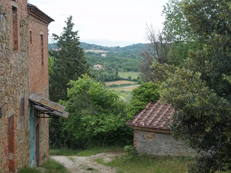 Immagine 1 di Terratetto in vendita  a Sinalunga