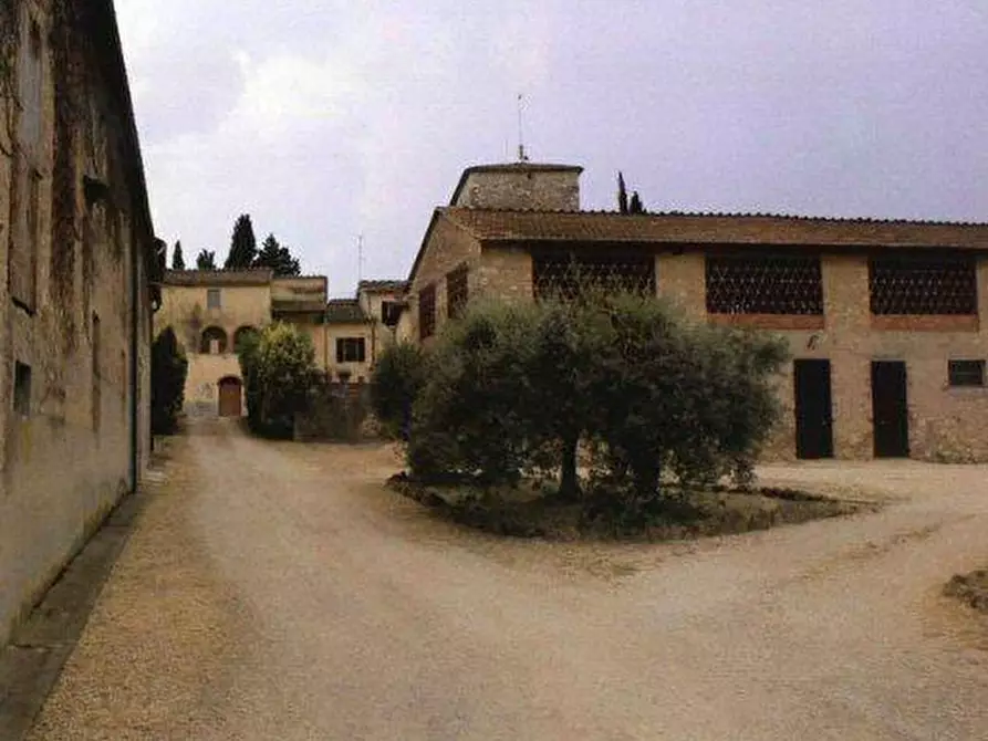 Immagine 10 di Azienda agricola in vendita  a Colle Di Val D'elsa