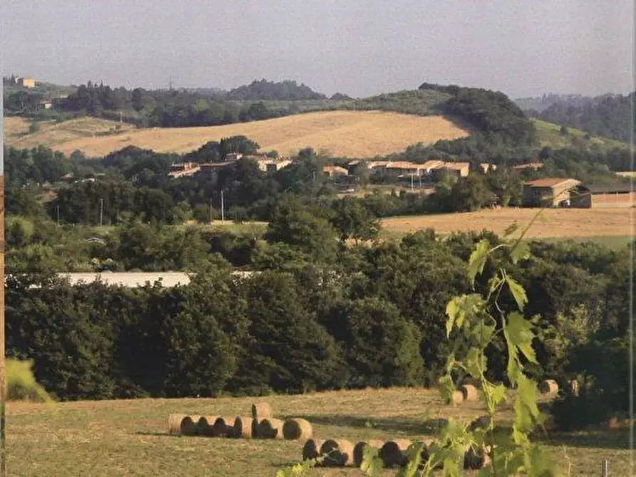 Immagine 5 di Azienda agricola in vendita  a Colle Di Val D'elsa