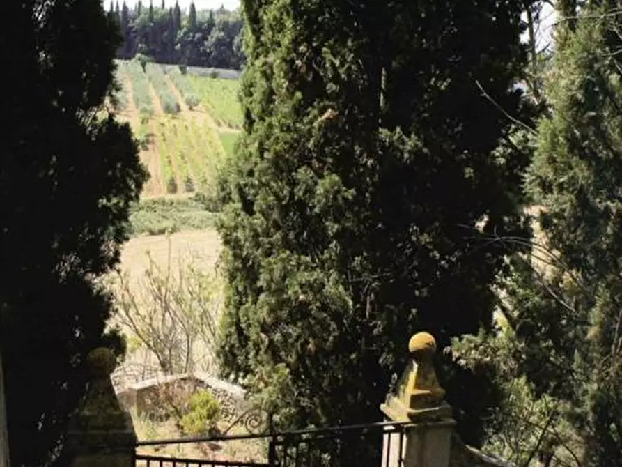 Immagine 4 di Azienda agricola in vendita  a Colle Di Val D'elsa
