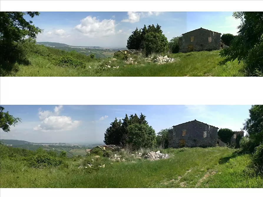Immagine 5 di Rustico / casale in vendita  a Sarteano