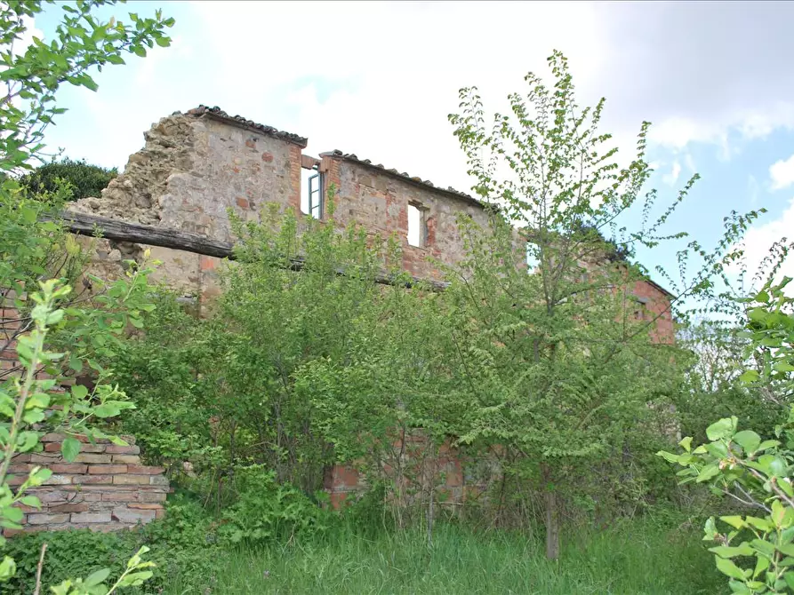 Immagine 6 di Rustico / casale in vendita  a Sarteano