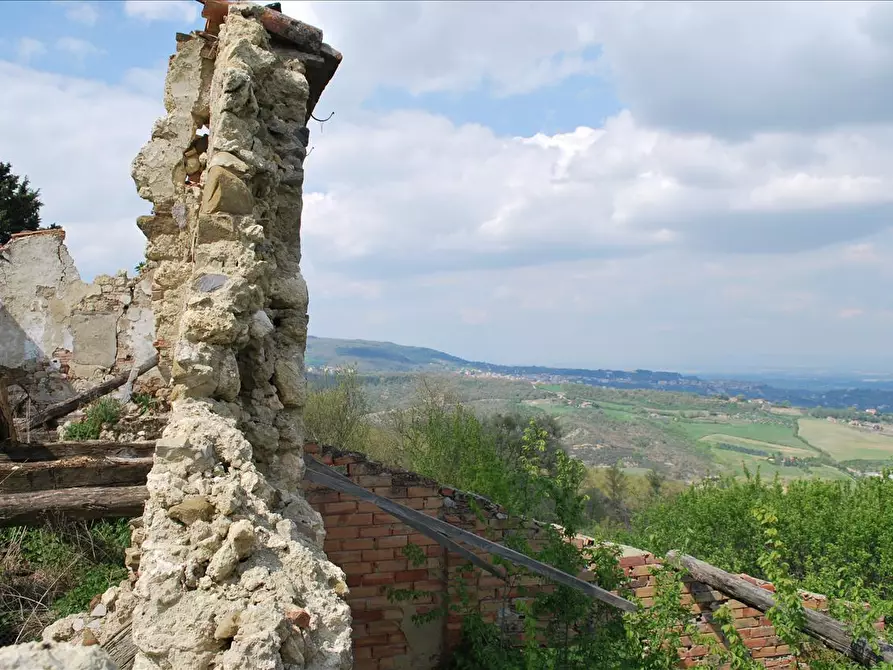 Immagine 7 di Rustico / casale in vendita  a Sarteano