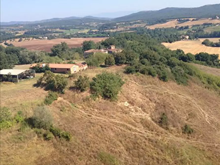 Immagine 2 di Azienda agricola in vendita  a Asciano