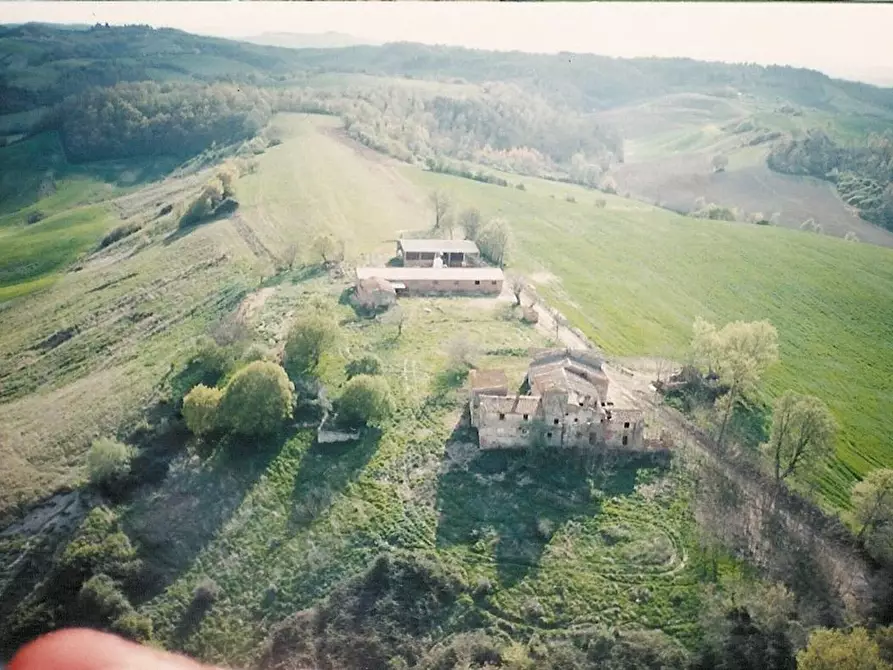 Immagine 3 di Azienda agricola in vendita  a Asciano
