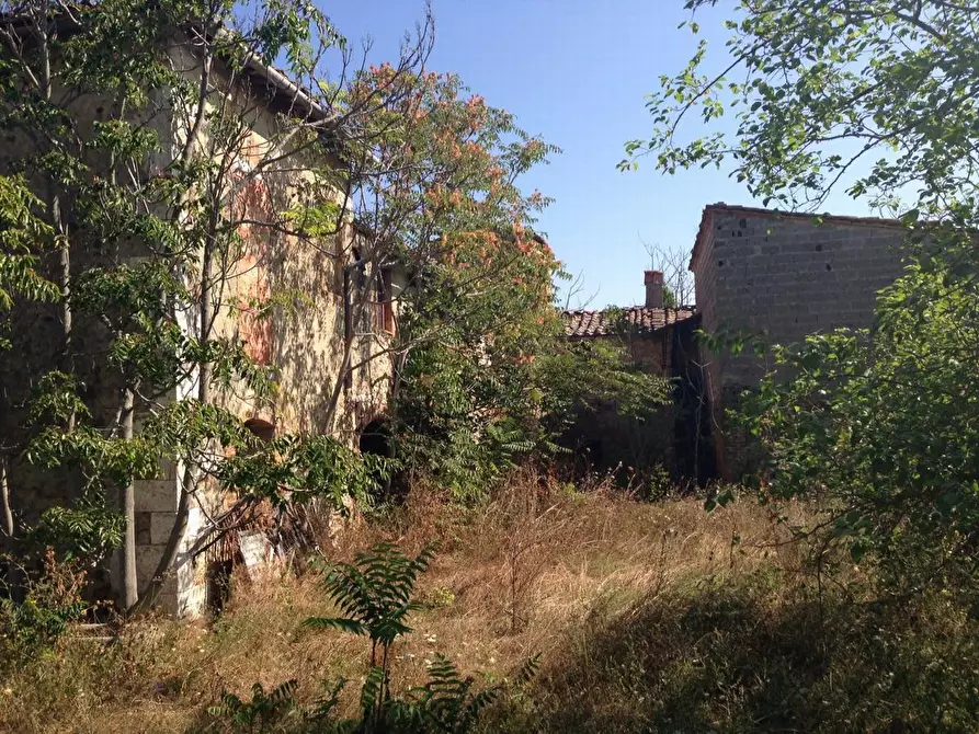 Immagine 4 di Azienda agricola in vendita  a Asciano