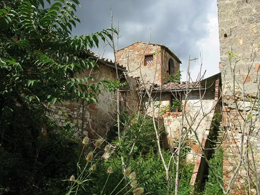 Immagine 6 di Azienda agricola in vendita  a Asciano