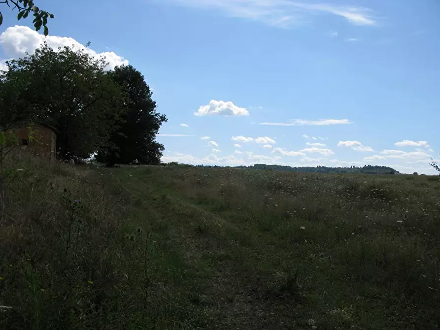 Immagine 7 di Azienda agricola in vendita  a Asciano