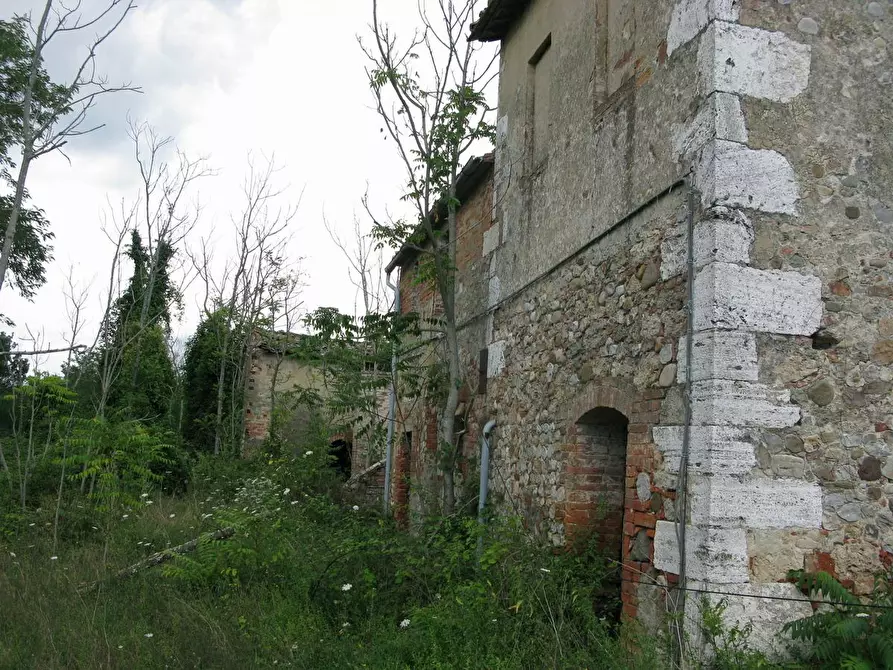Immagine 8 di Azienda agricola in vendita  a Asciano