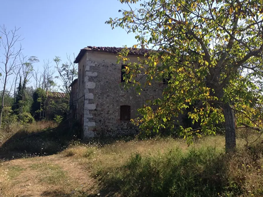 Immagine 9 di Azienda agricola in vendita  a Asciano