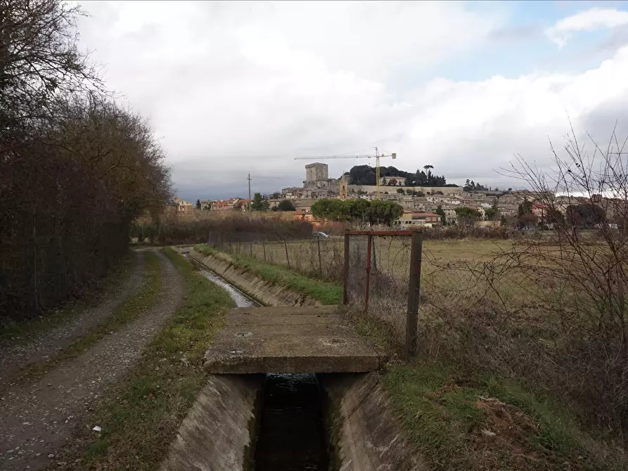 Immagine 2 di Terreno agricolo in vendita  a Sarteano