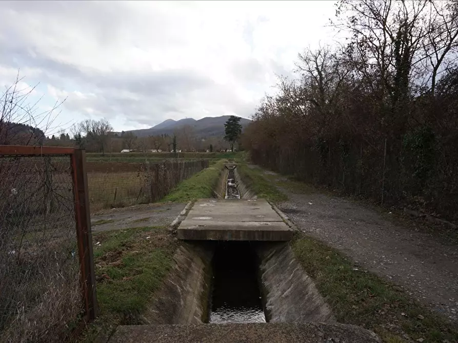 Immagine 3 di Terreno agricolo in vendita  a Sarteano