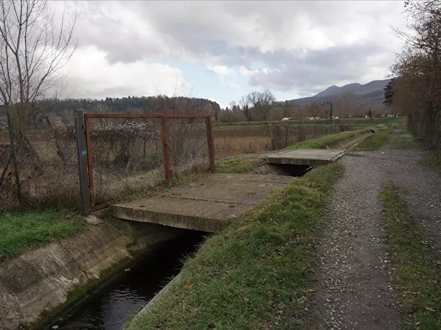 Immagine 5 di Terreno agricolo in vendita  a Sarteano