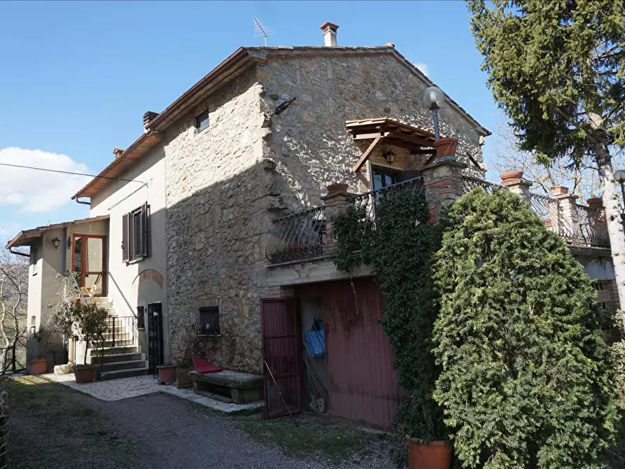 Immagine 10 di Rustico / casale in vendita  a Sarteano