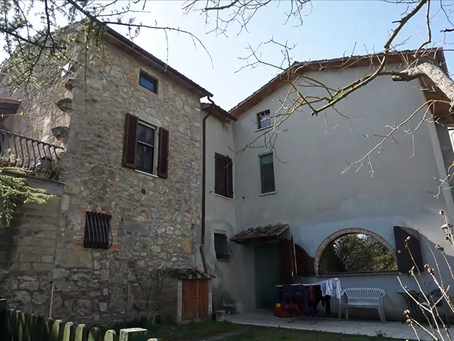Immagine 3 di Rustico / casale in vendita  a Sarteano