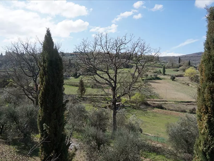 Immagine 9 di Rustico / casale in vendita  a Sarteano