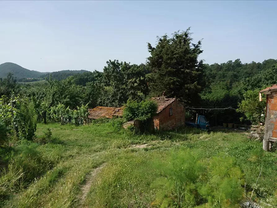 Immagine 2 di Rustico / casale in vendita  a Trequanda