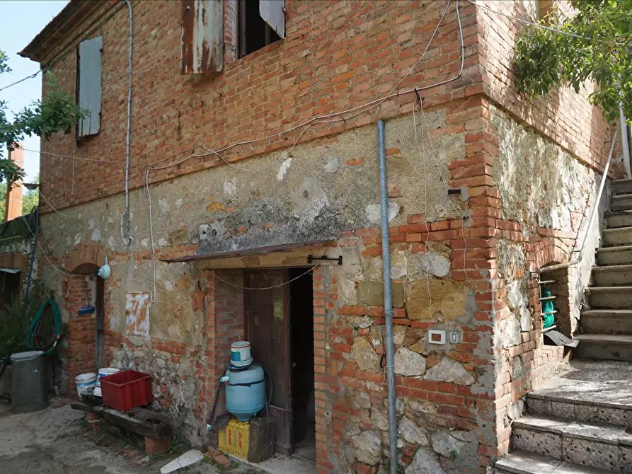 Immagine 3 di Rustico / casale in vendita  a Trequanda