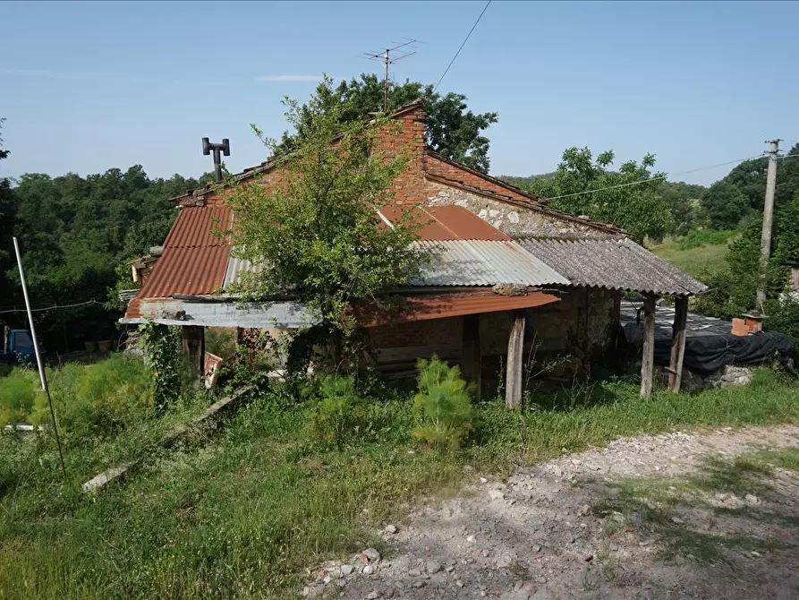 Immagine 4 di Rustico / casale in vendita  a Trequanda