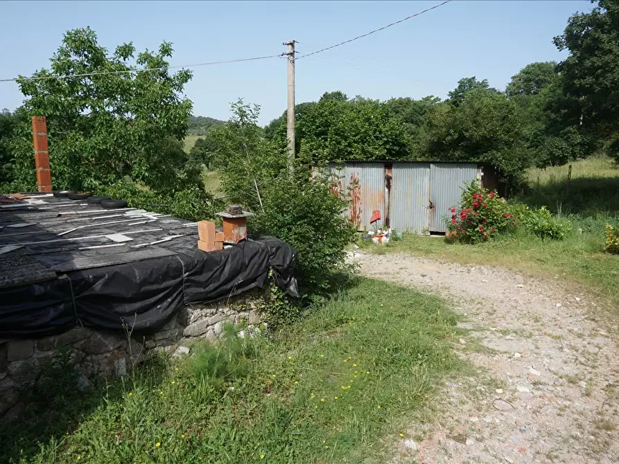 Immagine 5 di Rustico / casale in vendita  a Trequanda