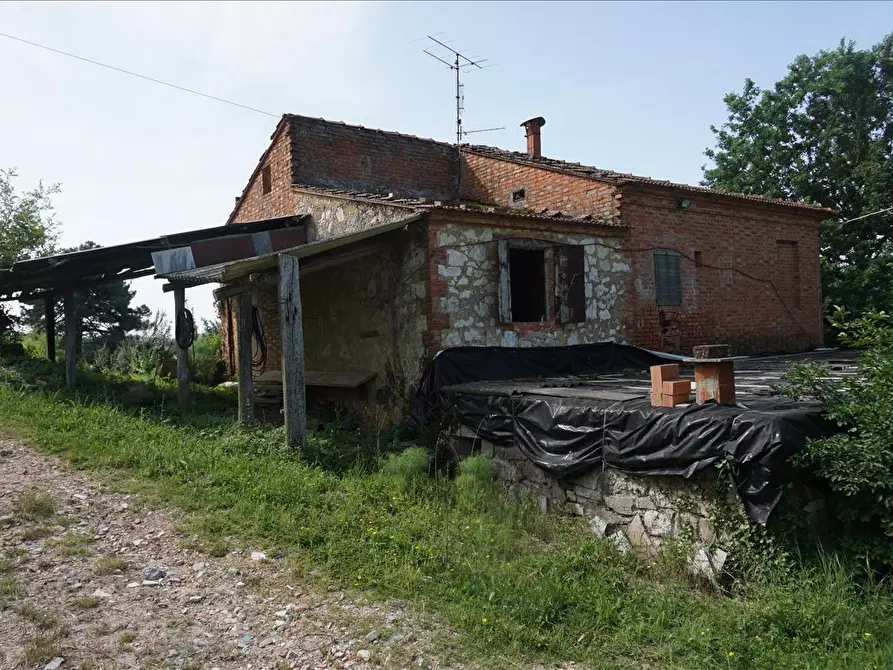 Immagine 1 di Rustico / casale in vendita  a Trequanda