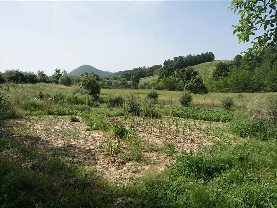 Immagine 7 di Rustico / casale in vendita  a Trequanda