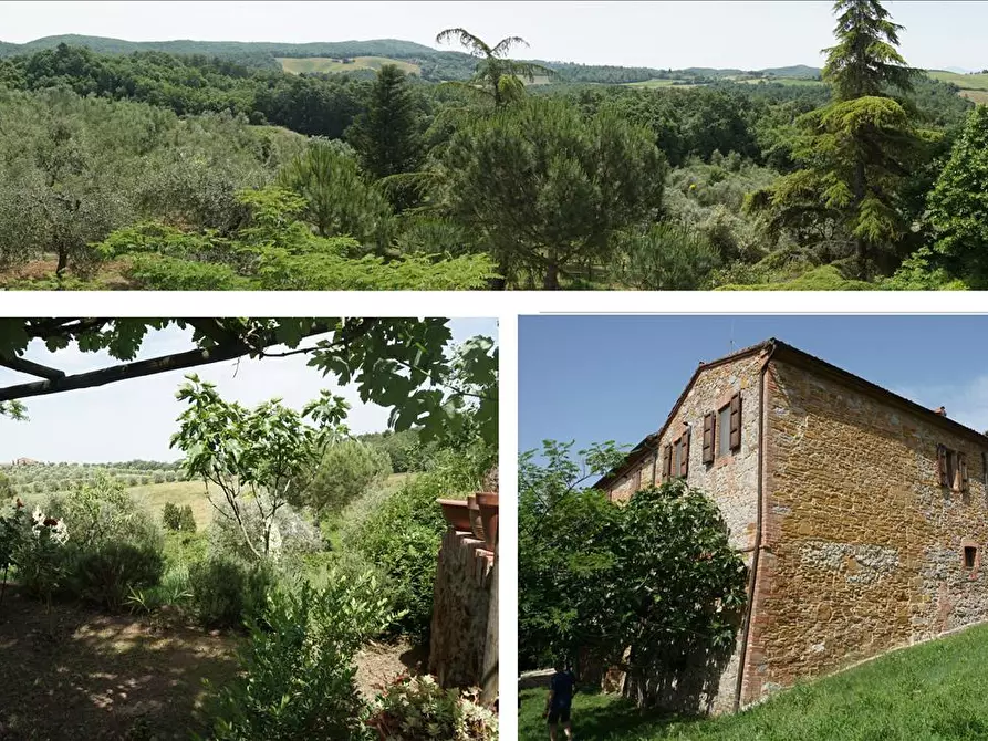 Immagine 10 di Rustico / casale in vendita  in piazza Giuseppe Garibaldi, 8 a Trequanda