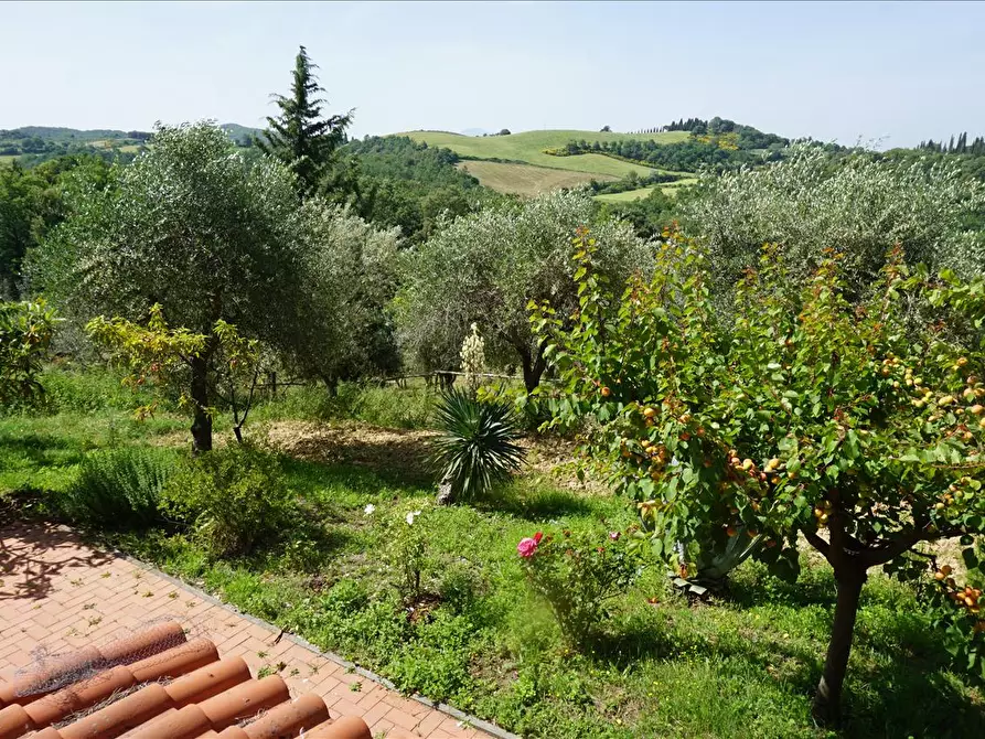 Immagine 3 di Rustico / casale in vendita  in piazza Giuseppe Garibaldi, 8 a Trequanda