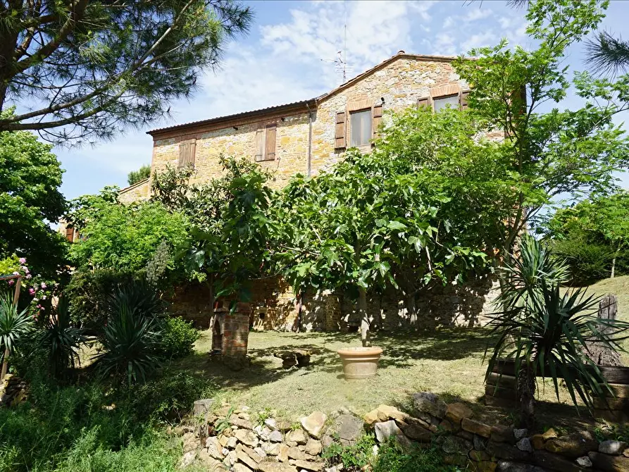 Immagine 4 di Rustico / casale in vendita  in piazza Giuseppe Garibaldi, 8 a Trequanda