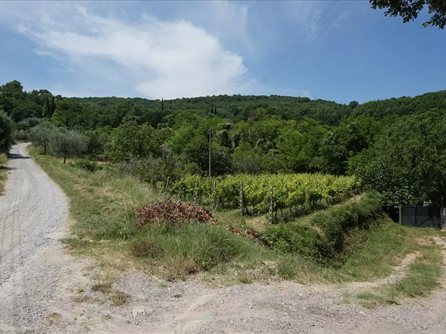 Immagine 4 di Terreno agricolo in vendita  a Sarteano
