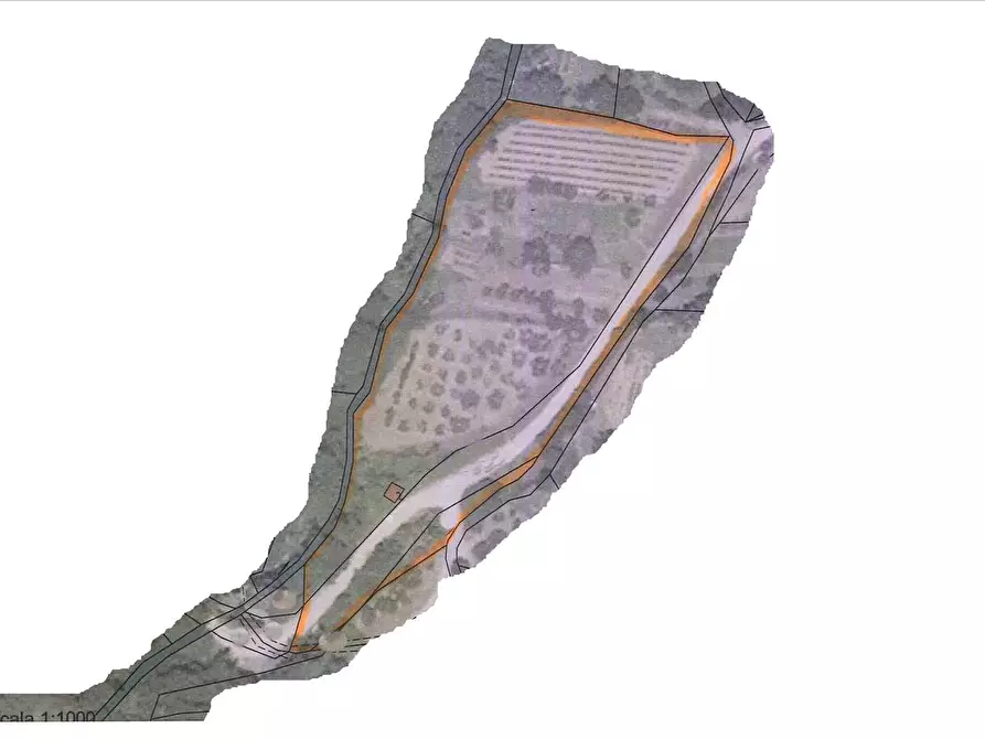 Immagine 5 di Terreno agricolo in vendita  a Sarteano