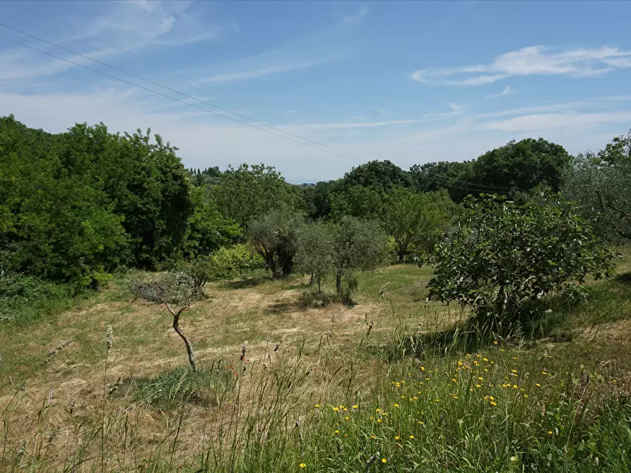 Immagine 6 di Terreno agricolo in vendita  a Sarteano