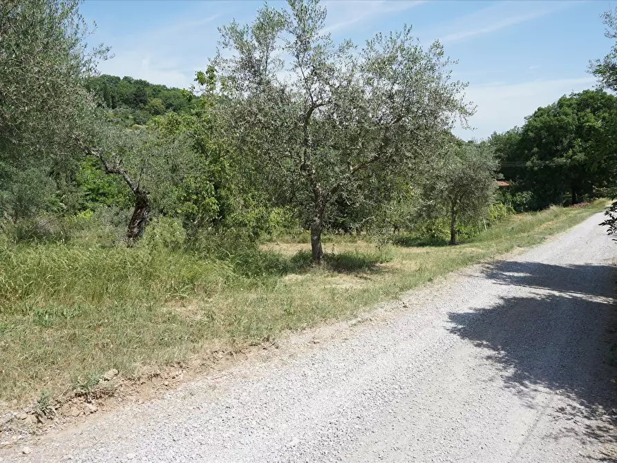 Immagine 9 di Terreno agricolo in vendita  a Sarteano