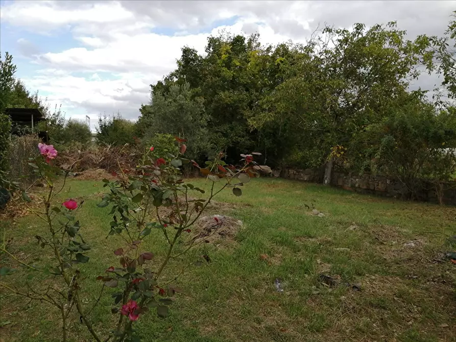 Immagine 2 di Appartamento in vendita  a Chiusi