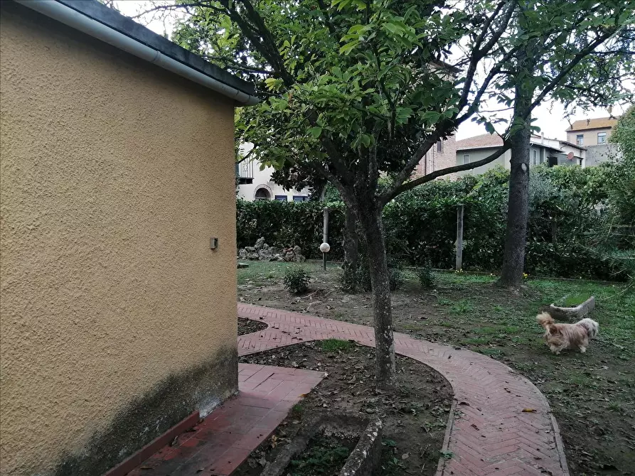 Immagine 4 di Appartamento in vendita  a Chiusi