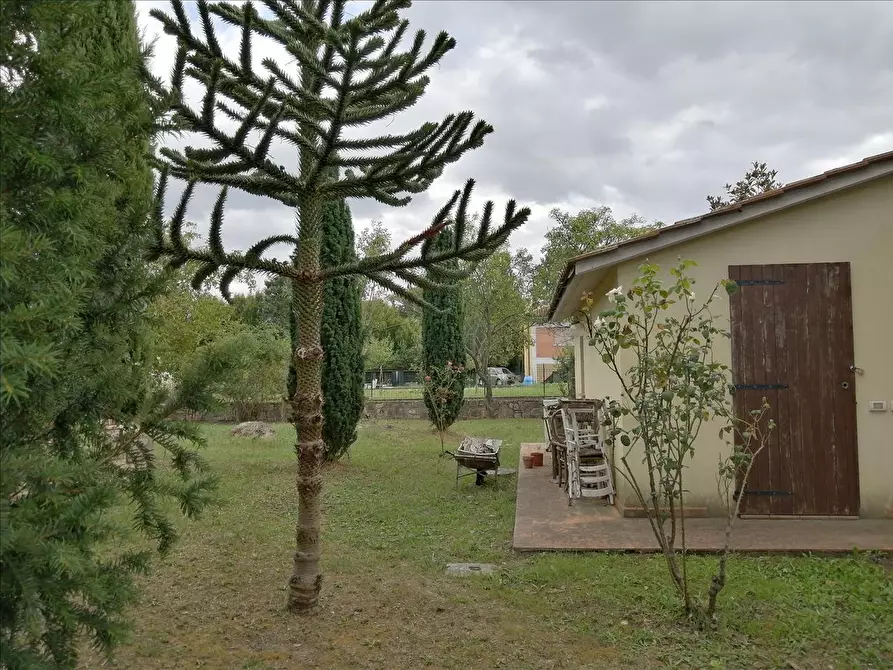 Immagine 6 di Appartamento in vendita  a Chiusi