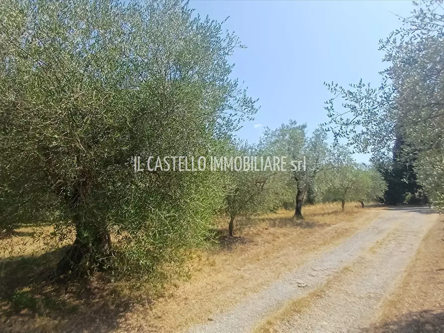 Immagine 10 di Terreno agricolo in vendita  a Sarteano
