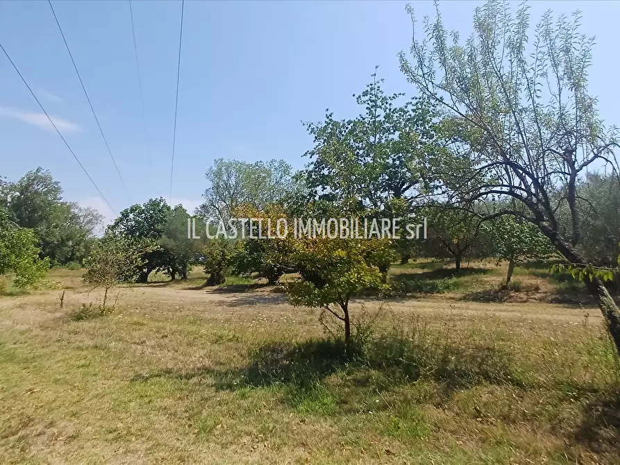 Immagine 2 di Terreno agricolo in vendita  a Sarteano