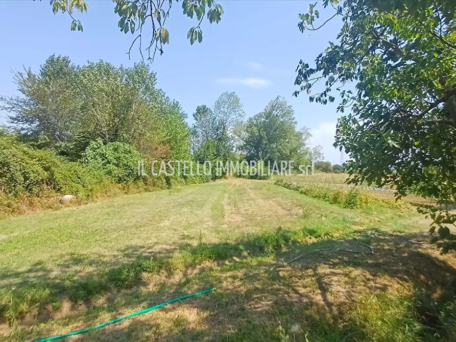Immagine 3 di Terreno agricolo in vendita  a Sarteano