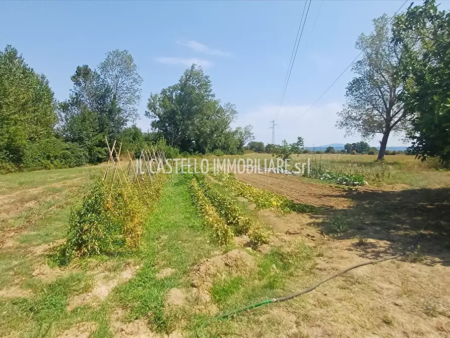 Immagine 4 di Terreno agricolo in vendita  a Sarteano