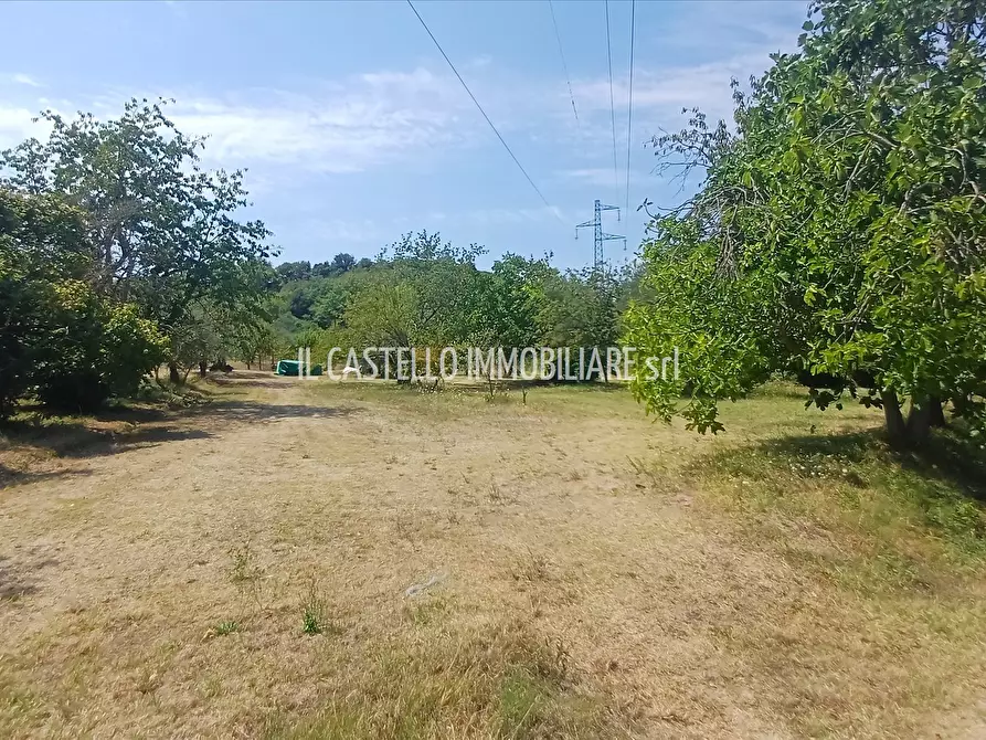 Immagine 5 di Terreno agricolo in vendita  a Sarteano