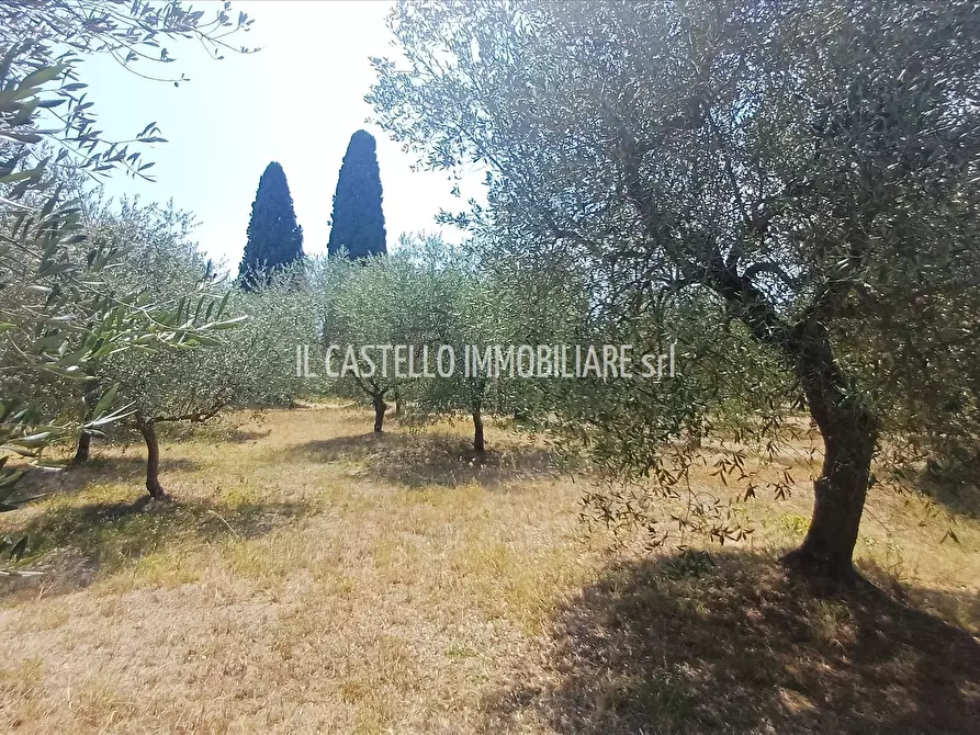Immagine 8 di Terreno agricolo in vendita  a Sarteano